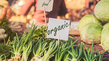 Vegan Businesses for sale in Downtown Dubai 215615