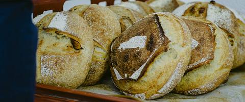 Bakeries for sale in La Rochelle 251332