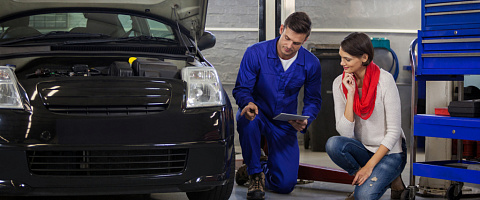 Automotive Business for sale in Hamilton 163616